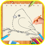 How to draw Birds  Step By Step