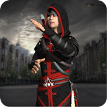 Assassin Ninja vs Superhero