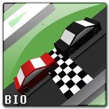 Wrong Way Race