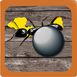 Ant Smasher - Free Game