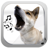 Sonnerie Aboiement De Chien