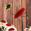 Beetle Thief أيقونة