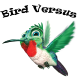 Bird Simulator