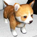 Cute Puppy Sim