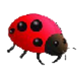 Angry Insects