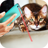 Laser Pointer For Cat Prank