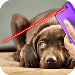 Laser Pointer For Dog Prank