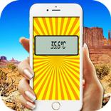 Digital Thermometer Simulator