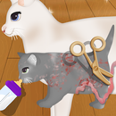 猫の出産ゲーム APK