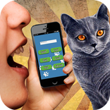 ”Cat Translator 3D sound