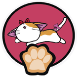 Catching Cats