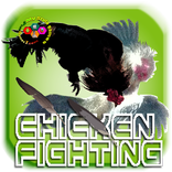 Chicken fighting game