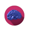 Interactive Neuro Anatomy 3D APK