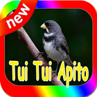Coleiro Tui Tui Apito Complete Mp3 icon