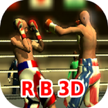 Ragdoll Boxing 3D