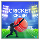 Cricket Crush APK