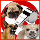 ”dog whistle