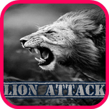 ”Lion savage attack