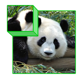 Zoo Puzzle 3D for kids
