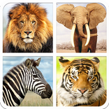 Jungle Animal Sounds & Guess