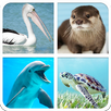 Water Animals Sounds And Guess APK