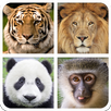 Zoo Animal Sounds And Guess APK