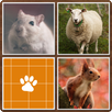 Memory - Animals APK
