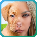 cambiador cara de perro APK