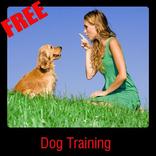 Dog Training