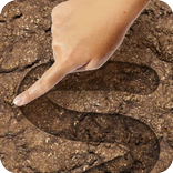Draw on the Poop