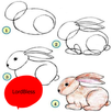 Drawing for Beginner Tutorials APK