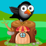 Crazy bird