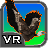 Vulture Hunt 3