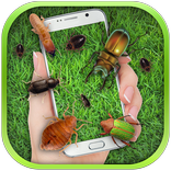 Bug in Phone Prank