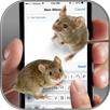 Mouse on Screen – Funny Joke APK