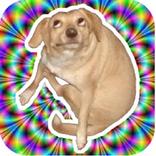 Narcotic Dog