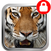 King Forest Lock Screen APK