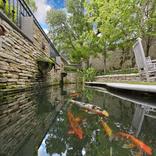 Fish Pond Ideas  2017