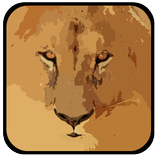 Hunt Or Hunted: Lions