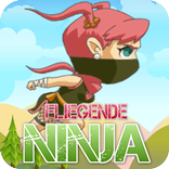 Clumsy demon dummy ninja