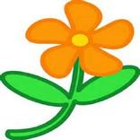 Flower Memory Game