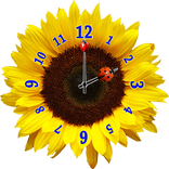 Flower Clock Widget