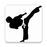 ”Taekwondo Training Program