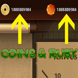 Coins For Shadow Fight 2