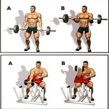 GYM WORKOUT