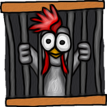 Save the chickens