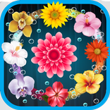Blossom Garden