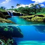 Paradise Show (without net)