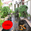 Modern Gardenscape Ideas APK