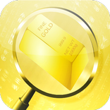 Gold metal Detector